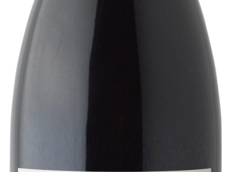 Rascal Central Valley Pinot Noir 2021 Hot on Sale