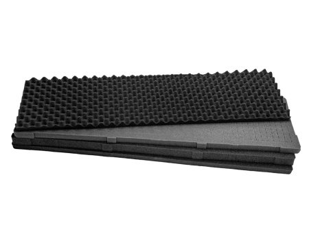 Replacement Foam for #1229 Case Online now