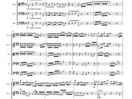 Violin Concerto No. 2 in E major, BWV 1042, First Movement (J. S. Bach) Online Hot Sale