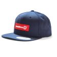 Concealed - Snapback Discount